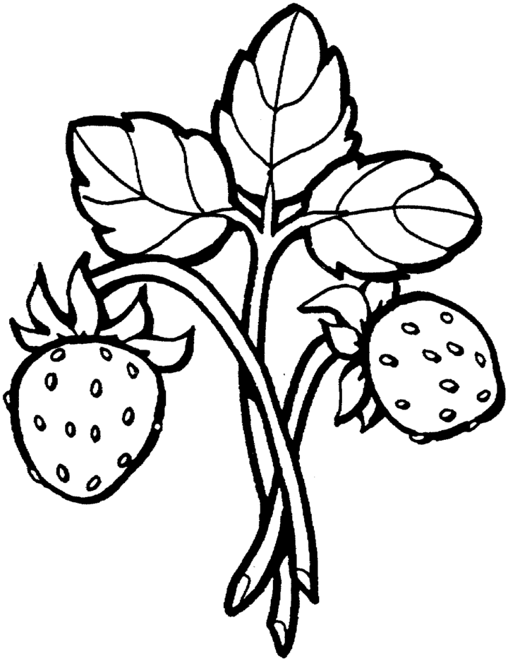 Dibujos De Fresas Deliciosos Platillos Para Colorear