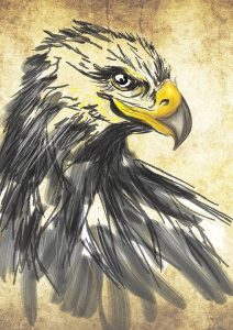 Aguila real dibujo