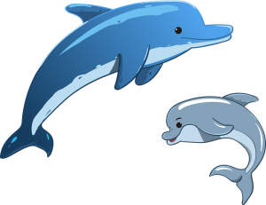 Delfines animados con movimiento