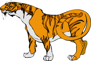 Imagenes de Tigres para colorear