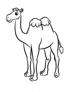 camello animado