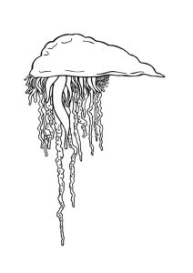 como dibujar a medusa