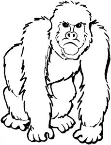 como dibujar a un gorila