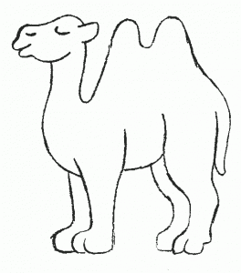 como dibujar camellos