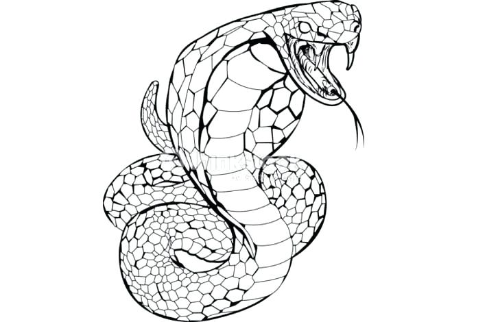 como dibujar una serpiente facil
