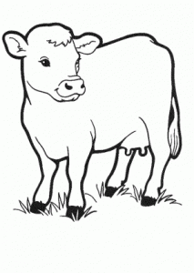 como dibujar una vaca paso a paso