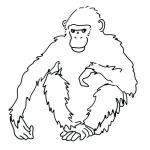 cómo dibujar un gorila