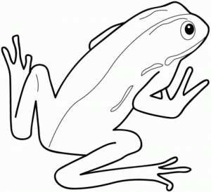 cómo se dibuja una rana