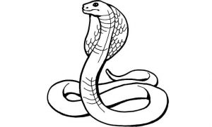 cómo se dibuja una serpiente