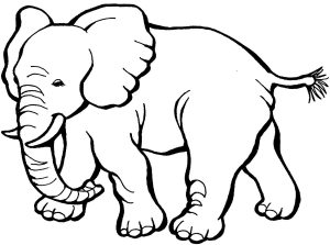 dibujo de elefante para niños
