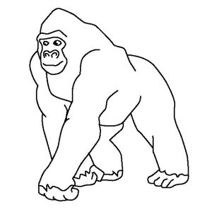 dibujo de gorila facil