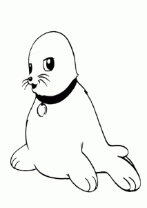 dibujos animados de focas