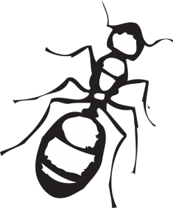 dibujos animados de hormigas