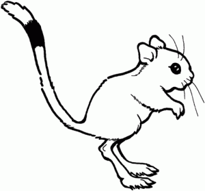 dibujos animados de ratas