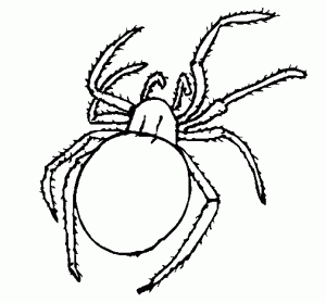 dibujos de arañas para colorear
