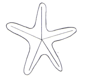 dibujos de estrellas de mar para colorear