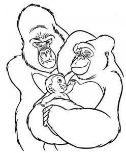 dibujos de gorilas a lapiz
