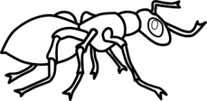 dibujos de hormigas para colorear