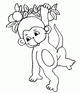 dibujos de monkey