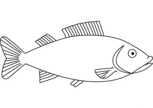 dibujos de peces animados