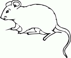 dibujos de ratones infantiles