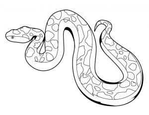 dibujos de serpientes para niños
