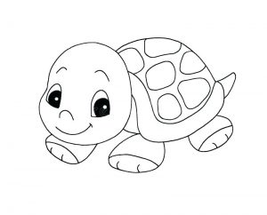 dibujos de tortugas marinas