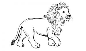 dibujos del rey leon