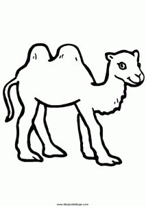 dibujos infantiles de camellos