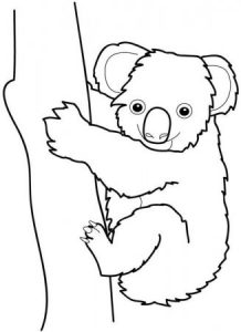 dibujos koala mofli
