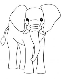 elefantes pintados