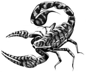escorpion en 3d