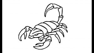 escorpion en dibujo