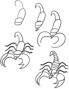 escorpion para dibujar