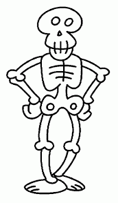 esqueleto dibujo para niños