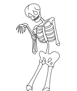 esqueleto humano dibujo facil