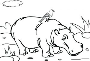 hipopotamo dibujo