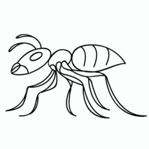 hormiga facil de dibujar