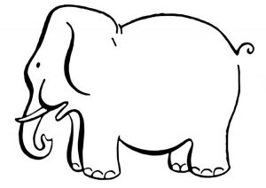 imagen elefante
