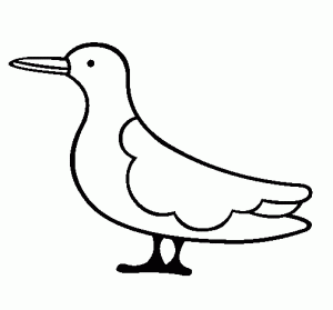 imagenes de aves para dibujar