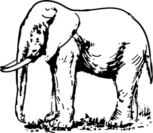 imagenes de elefantes para dibujar