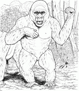 imagenes de gorilas animados