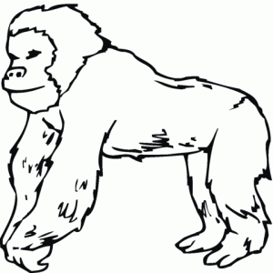 imagenes de gorilas para dibujar