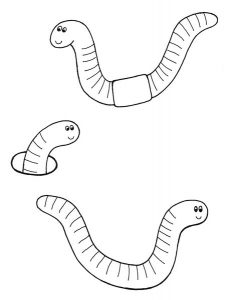imagenes de gusanos para dibujar