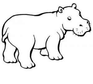 imagenes de hipopotamos en caricatura