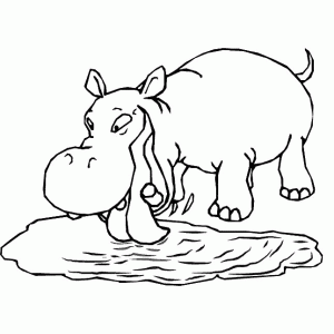 imagenes de hipopotamos para dibujar