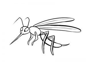 imagenes de insectos para niños