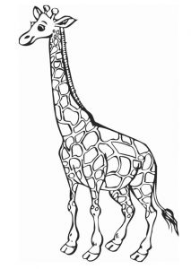 imagenes de jirafas para dibujar