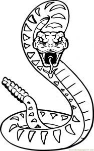 imagenes de serpientes cobras