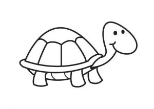 imagenes de tortugas para dibujar